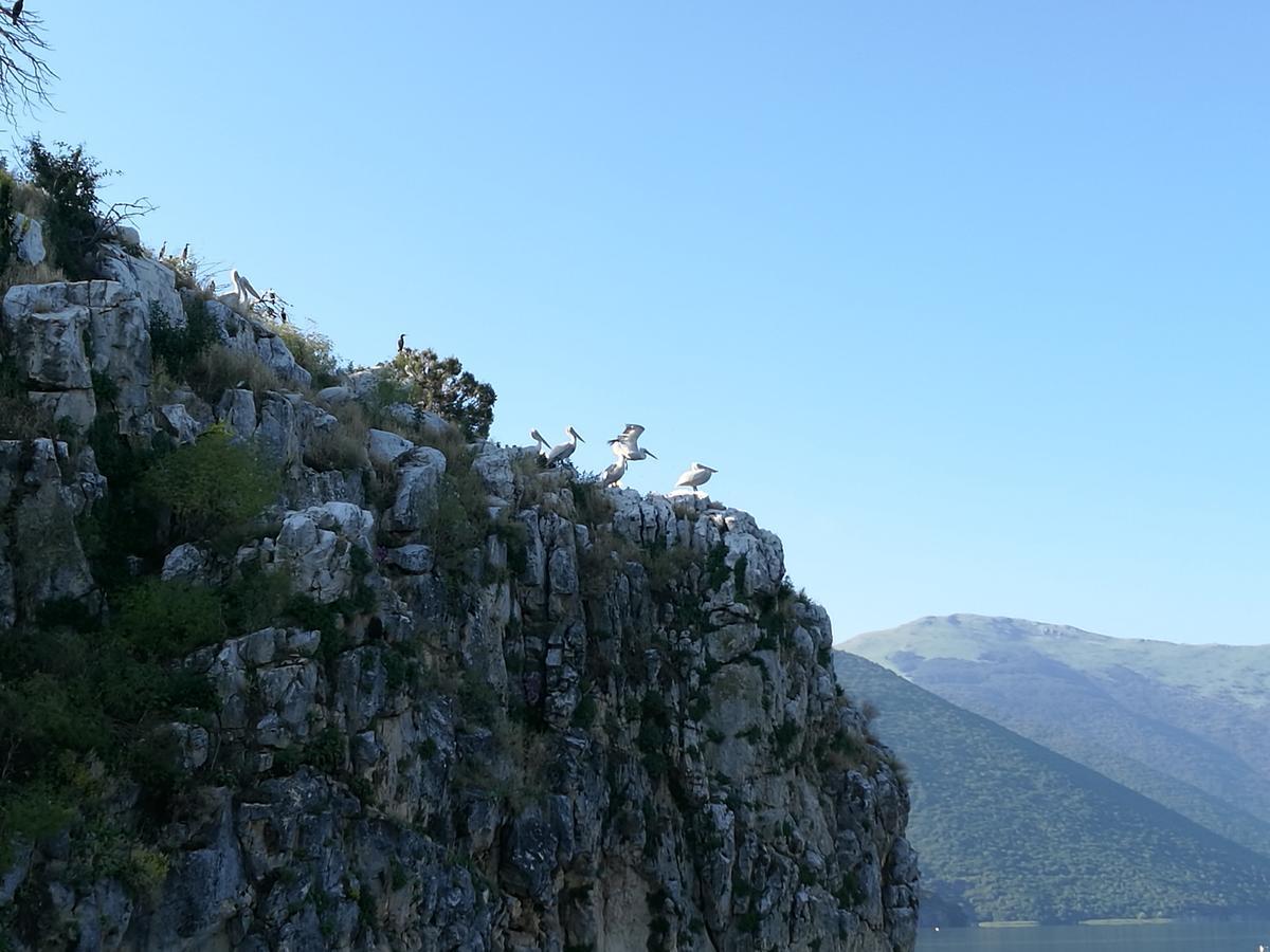 ホテル Agios Achillios エクステリア 写真
