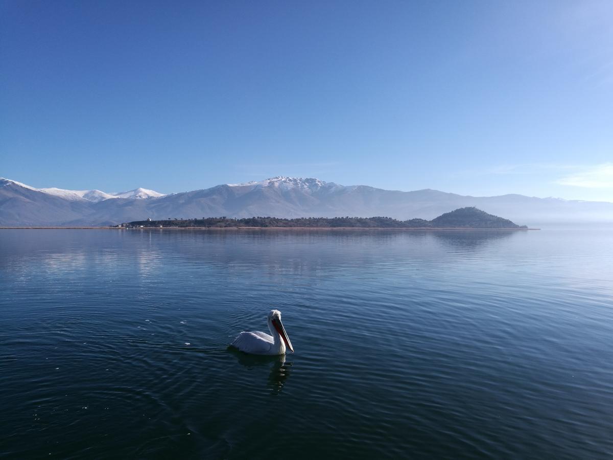 ホテル Agios Achillios エクステリア 写真